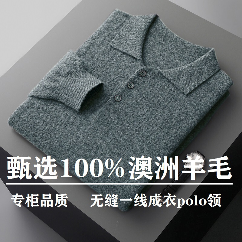 First-Line Ready-To-Wear Polo Shirt Men's Business Casual 100% Pure Wool Knitwear Shirt Collar Knitwear Factory Delivery