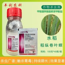 �����5%�װ������S���ر������}�^�pĵ���̶굾�v���~�����x��
