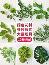 绿植婚庆新款森系苹果叶莫奈花园花艺芦苇装饰绿色花批发