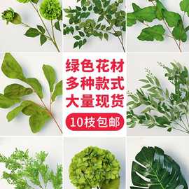 绿植婚庆新款森系苹果叶莫奈花园花艺芦苇装饰绿色花批发