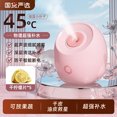 纳米冷热双喷蒸脸器家用补水喷雾机热喷蒸脸仪毛孔蒸汽脸部美容院