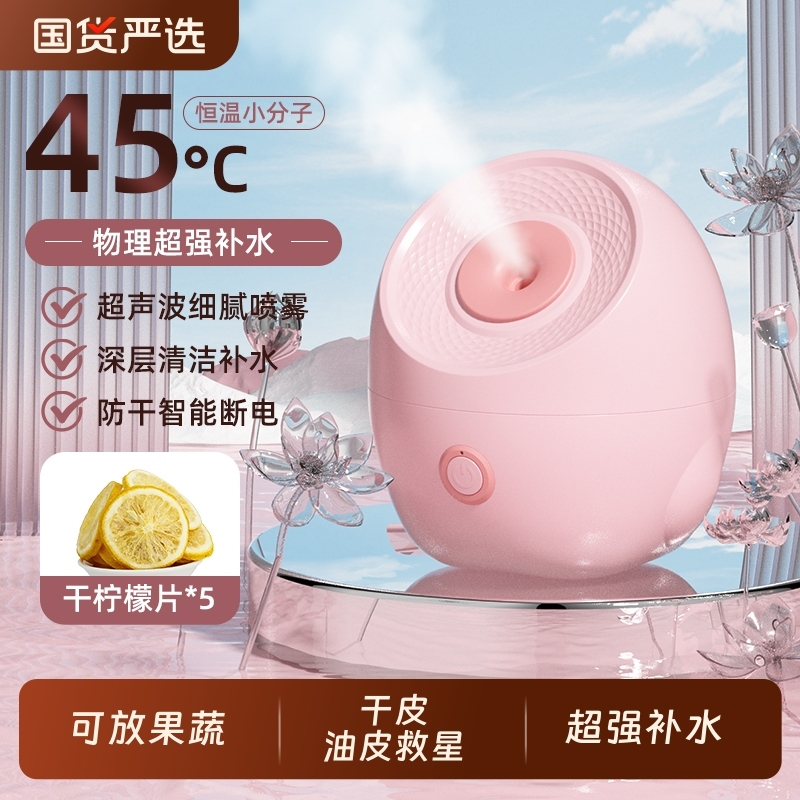 纳米冷热双喷蒸脸器家用补水喷雾机热喷蒸脸仪毛孔蒸汽脸部美容院|undefined