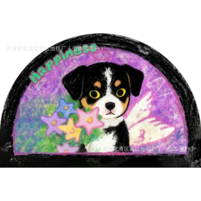 Avtomobil döşəmə paspasları: Carpet - starflower-puppy-4060cm-diatom-mudabsorbent-and-quick-drying