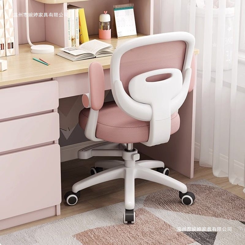 Children's Learning Chair, Special Seat for Primary and Secondary School Students to Write, Home Adjustable Desk Back Chair for Long Periods of Sitting