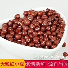 ���w���t���A��ɳŴ�tС��50��ǳ�С����؛�Zʳ�|���r���t��