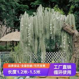 水竹叶丝干花垂吊挂花艺美陈花材亮草婚庆花材大型草月流摆件