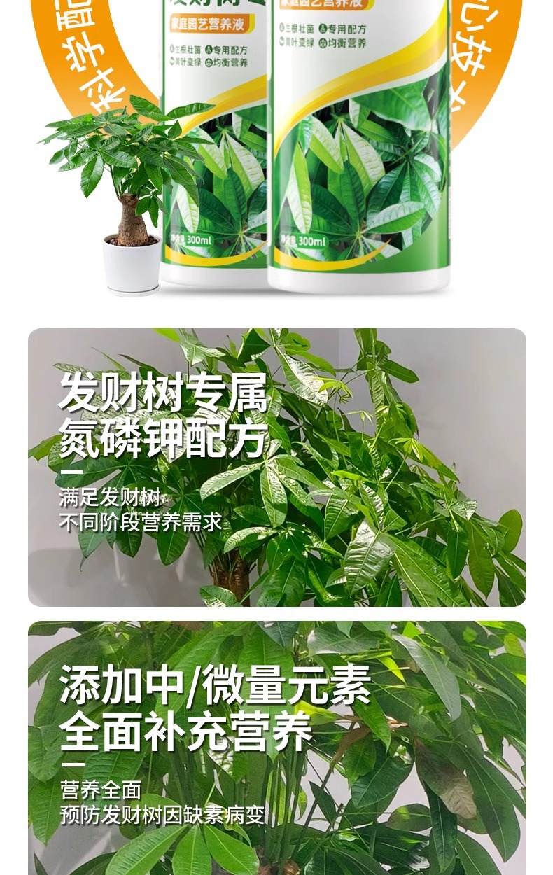 详情图