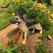 ǹģͼȮﹷģ͑ͥԺ﹤ˇƷbƷ[