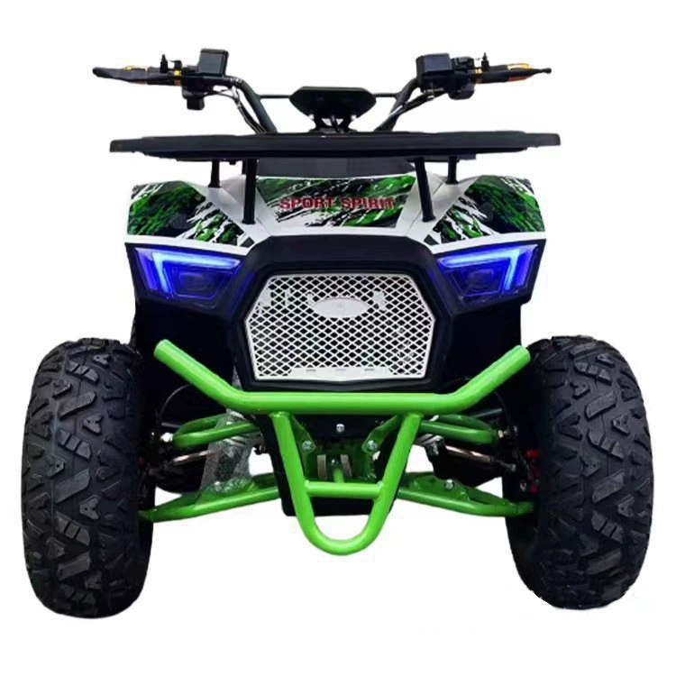60V1000W Электрические пляжные автомобили внедорожный ATV снегоход мотоцикл