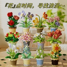 �����ֻ�ľ�����տ�����ֲ�����Ի����ڼ���������Ϧ���˽�����