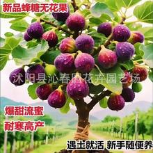 �o�����N�� �ļ�ͥԺ���N �۹� �̝{�� ���ɹ��������N���Ѵ���