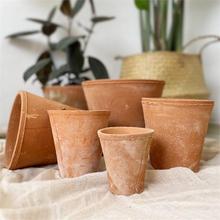 �t���躆�s������@��ˇ������ֲ������r������շNֲ͸��С����