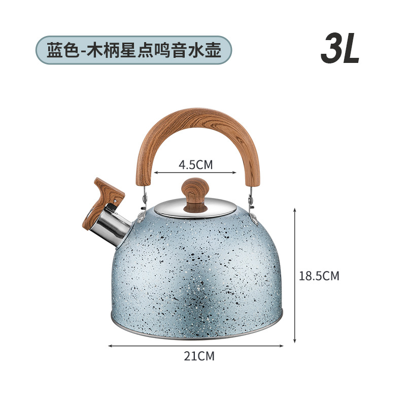 스타 포인트 블루