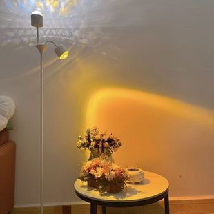Double-Headed Water Ripple Atmosphere Lamp Internet Celebrity Projection Photo Bedroom Live Broadcast Background Sunset Lamp Living Room Floor Lamp