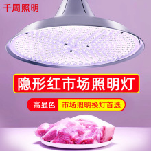 新国标led生鲜灯猪肉灯市场卖肉灯熟食灯led蔬菜水果灯生鲜灯专用