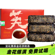 安化黑茶正宗湖南安化黑茶官方旗舰店正品安化黑茶金花茯砖茶湘丰