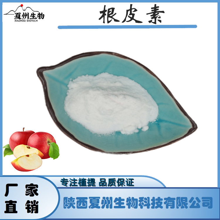 根皮素98% 根皮苷/甙 60-82-2 苹果提取物 夏州原料 现货 1Kg装