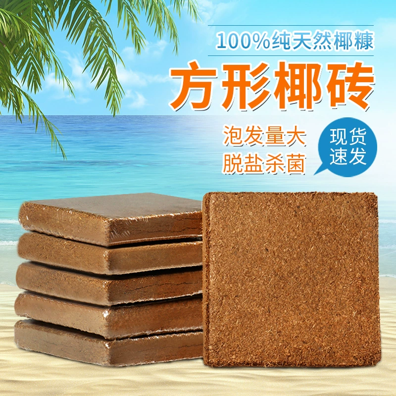 Кокосовый грунт-блок оптом, питательный грунт для суккулентов, комплексное удобрение для зеленых растений, универсальный кокосовый грунт из скорлупы для выращивания овощей, волшебный инструмент для домашнего использования