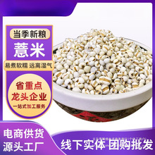 �F��С޲������؛��հ��b���r�r���ԷN����s�Zԭ����޲���״��l