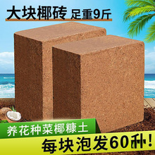 Ҭ�u�I�B���N��ͨ����Ó�}Ҭ����KҮ�u�����������B�������Nֲ��