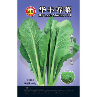 ��Դ�A�S���˷N���ļ�С�ײ˷N���̨����С����߲˷N��