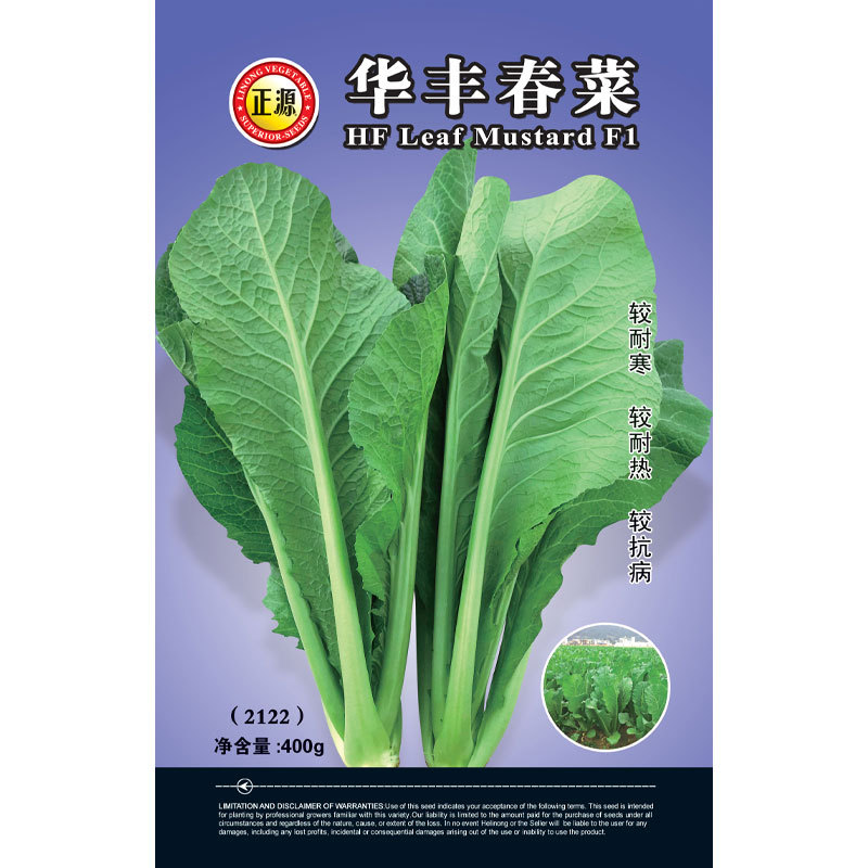 正源华丰春菜种子四季小白菜种籽阳台盆栽小青菜蔬菜种孑
