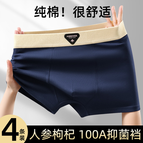 New Men's Cotton Flat-Skinned Winter Comfortable Breathable Four-Sided Underwear Mid-Waist Large Size Men's Underwear