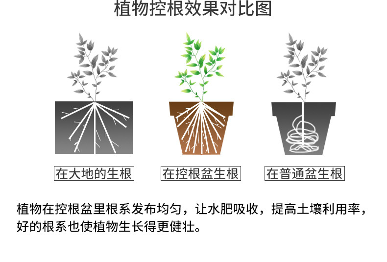 详情页_05