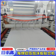 PUR热熔胶软硬包贴面机EVA铝箔玻纤布复合机卷对卷海绵xpe覆膜机