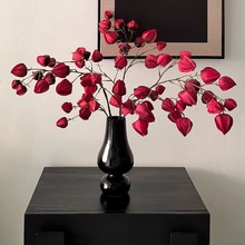 ����ʽ�tɫϵ���滨���\����ĭ���������ҾӲ廨�[���bzӰ����