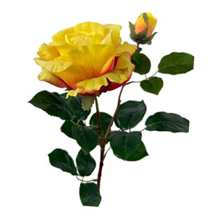 �ߙn�ָб���2�^�P�Gõ����滨ĥë�� ���Q�ߙnõ�廨 ��c����