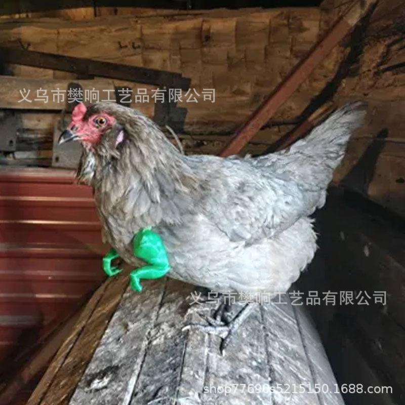 筋肉質の腕を持つ面白い猫面白い筋肉質の手と開発された腕クリエイティブな猫の首飾り|undefined