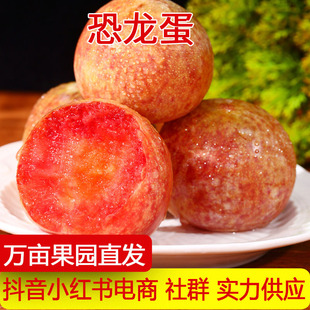 �����½����������Ӯ������r�Fժ�t������r���ЋDˮ��һ�����l
