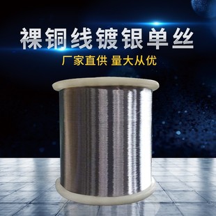0.6 wire diameter silver plated copper wire