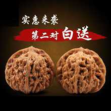 ������ұP�����{���^Ұ�������ñ�����O���@�䌦�����