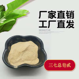 三七总皂甙80%  三七提取物  三七皂苷 三七总皂苷