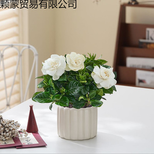 �d�ӻ��F����С���Ի��ܾGֲ�k���҃��_���辰�ļ����Bֲ��[����