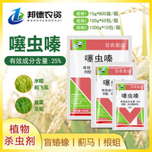 r˼_25%x ߲ˮäwʭERrșx