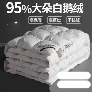 E6Y���Ǽ��Ƶ���q��95���Z�q���ﱻо�ߙn��c�����Z