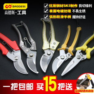 ��֦������֦��@ˇ�޼���֦ʡ���޻�֦�����ù��߼���