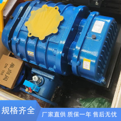 現物供給ルーツ送風機150口径防爆ダブルオイルタンクインバーターファン汚水処理ルーツ送風機