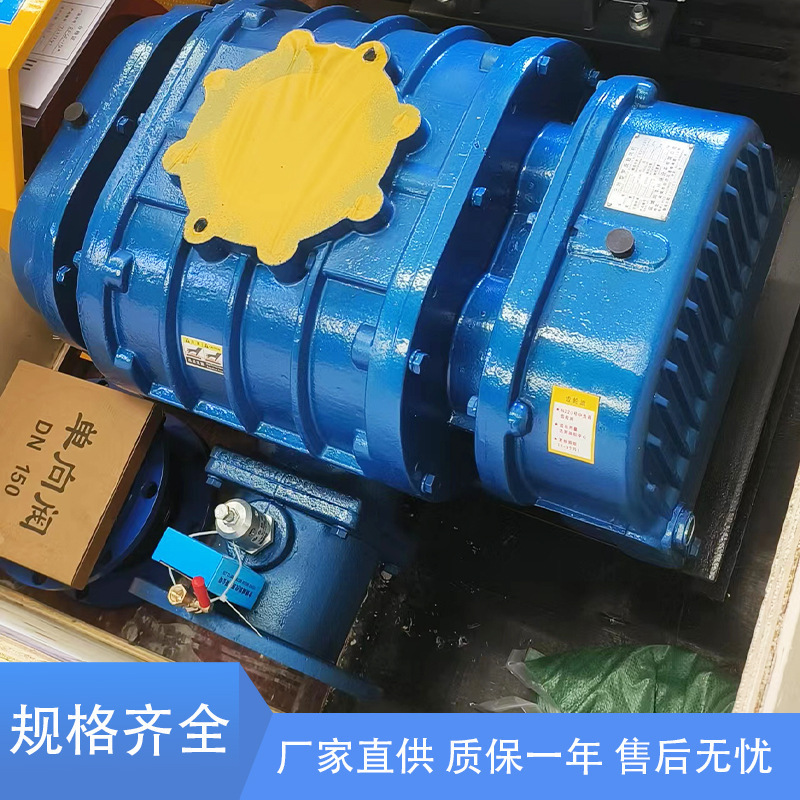 現物供給ルーツ送風機150口径防爆ダブルオイルタンクインバーターファン汚水処理ルーツ送風機|undefined
