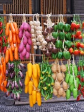 ˮ���߲˒촮�t�����������װ�����ģ�������r�Ҙ���b�Ʒ