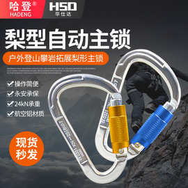 梨型自动主锁 自动锁铝合金登山扣快挂 航空铝D型登山扣