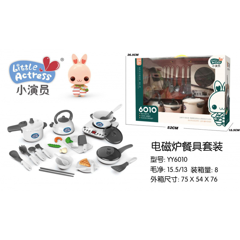YY6010