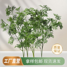 高仿真把束福禄桐树叶装饰仿真绿植造景摆件室内植物拍摄道具