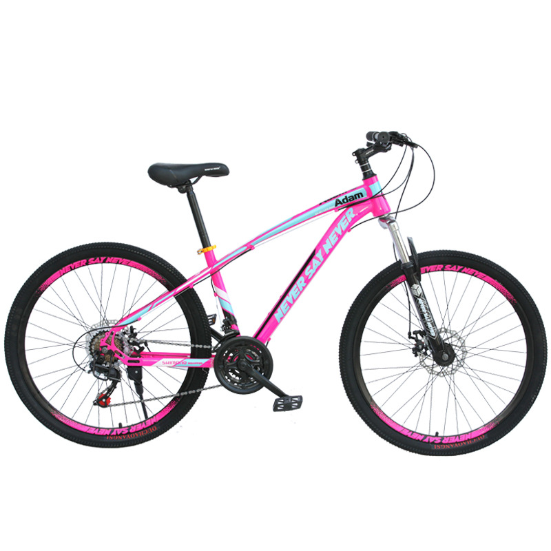 Bicicleta de montaña para adultos ligera y portátil hombre de doble cilindro amortiguador de velocidad cambiante bicicleta al aire libre para jóvenes vehículo de carretera