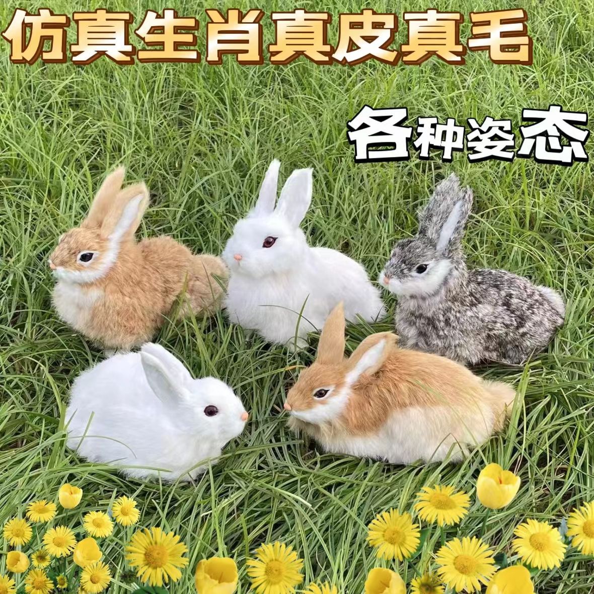 兔子玩偶真兔皮毛绒制作送家人孩子女友爱心生日礼物家居摆件厂家