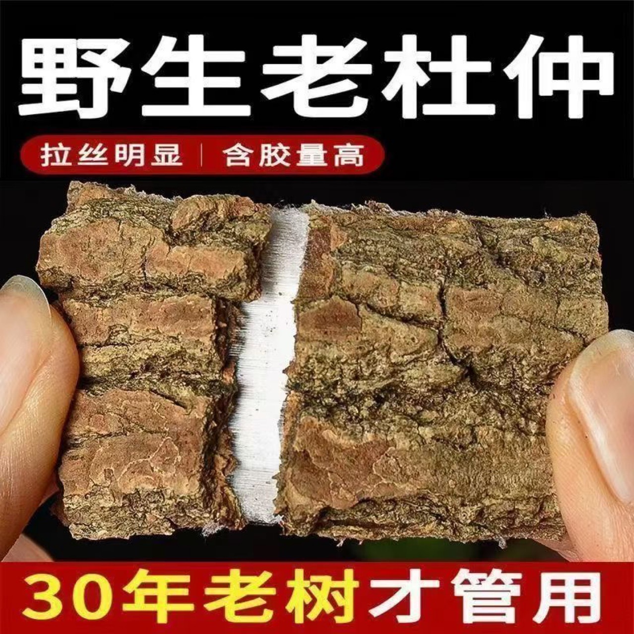 Wild Eucommia Bark (Eucommia ulmoides) — Unsulfured Old-Tree Thick Bark for Tea & Wine overview
