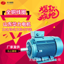 ɽ���������һ����Ч YE3/HM3/YE5YE4ϵ�������첽�綯��55/75kw